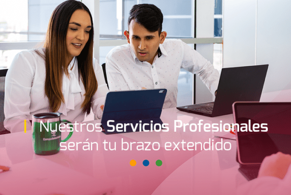 servicios profesionales