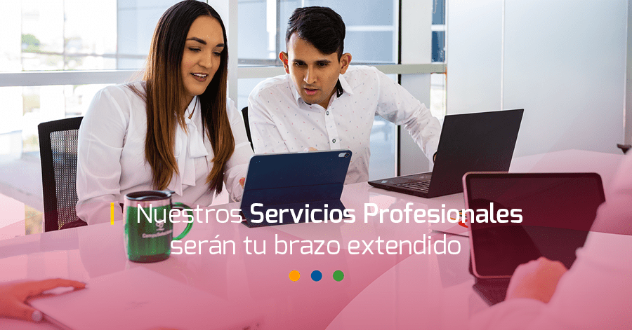 servicios profesionales